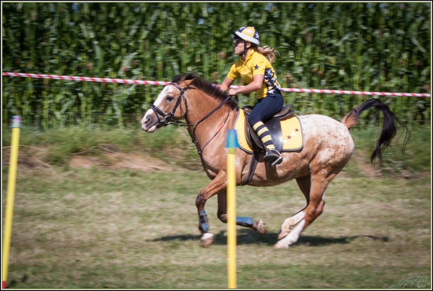 Mounted Games 029